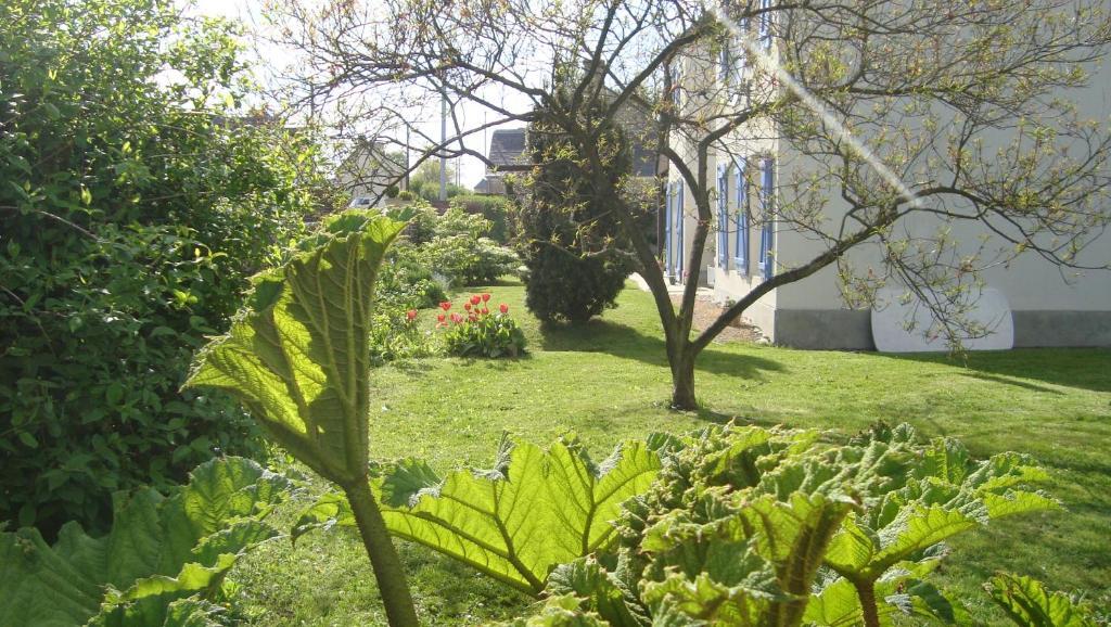 La Maison Claire Longueville  Esterno foto